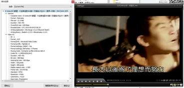 你懂的在线视频福利,独家内容等你来探索